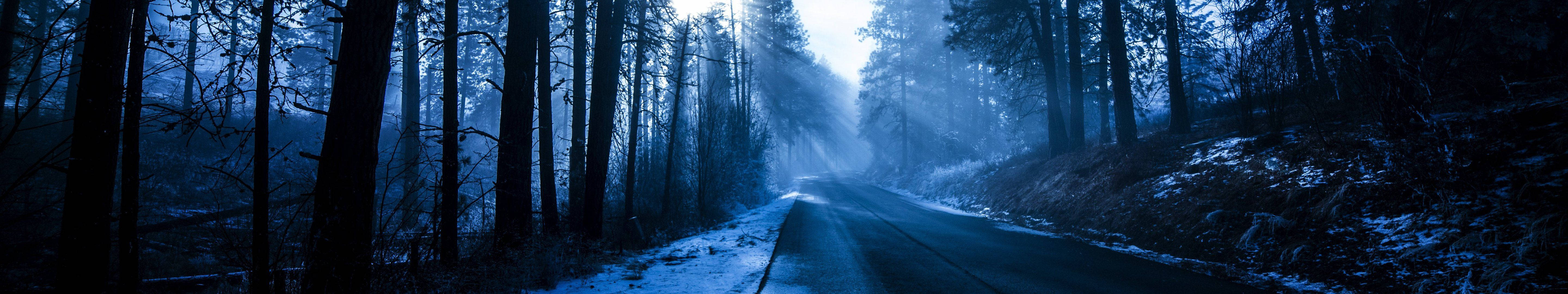 Take A Dreamy Walk Through This Picturesque Blue Aesthetic Forest Road. Wallpaper