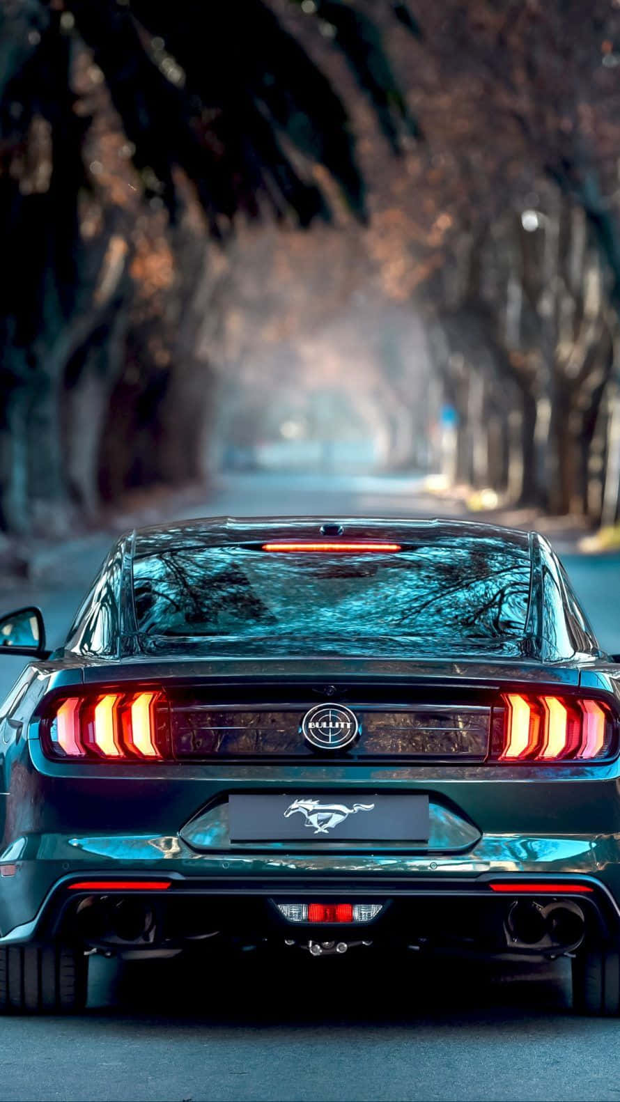 Take A Mustang Ride Wallpaper