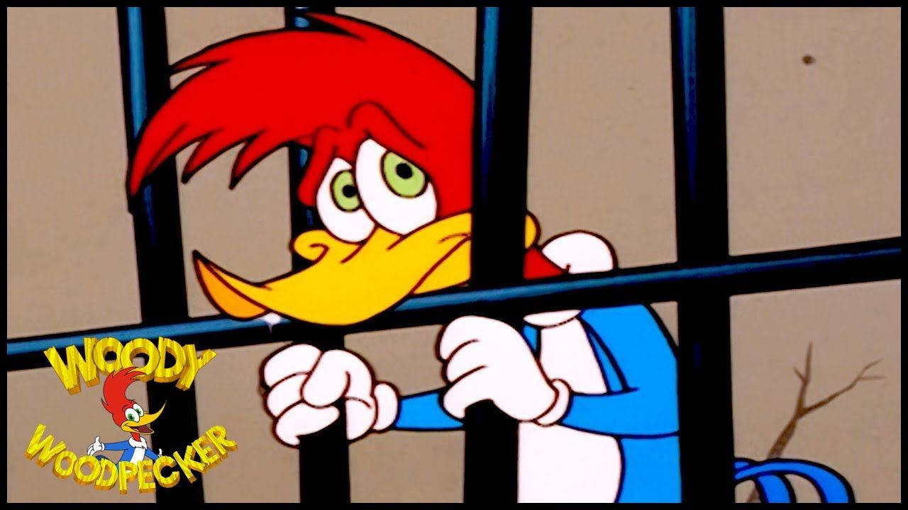 Take A Trip Down Memory Lane With Woody Woodpecker! Wallpaper