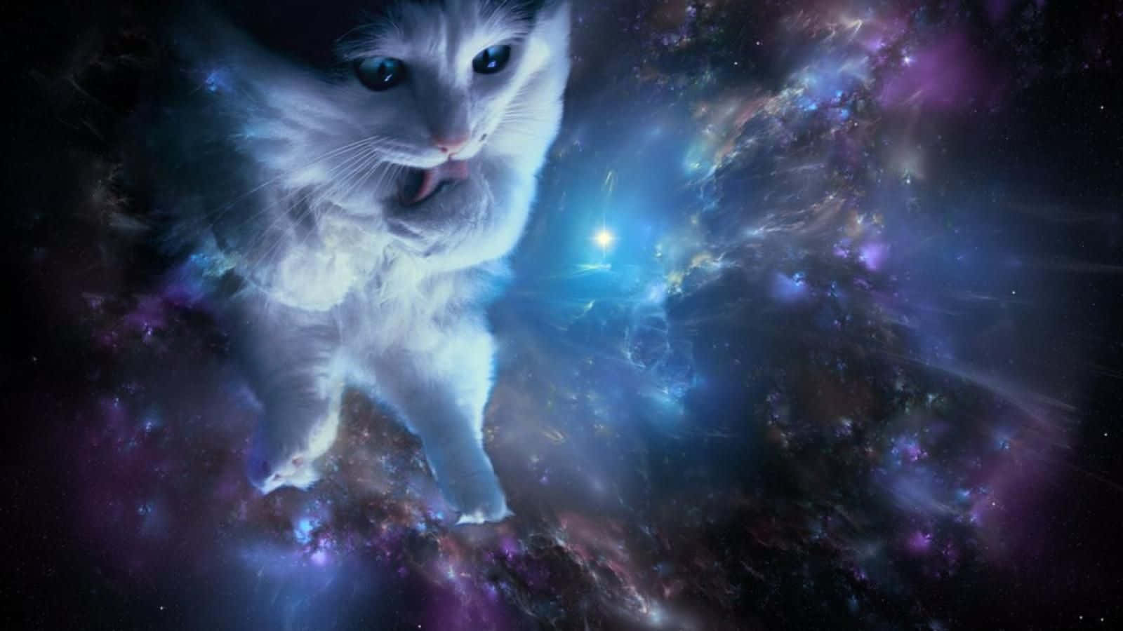 Take A Trip Of A Lifetime Exploring The Cool Animal Galaxy Wallpaper