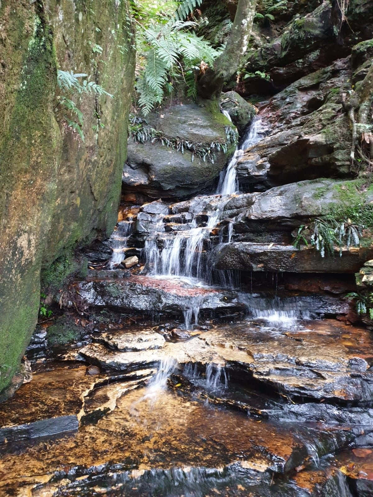 Take In The Beautiful Views Of Blue Mountains National Park Wallpaper