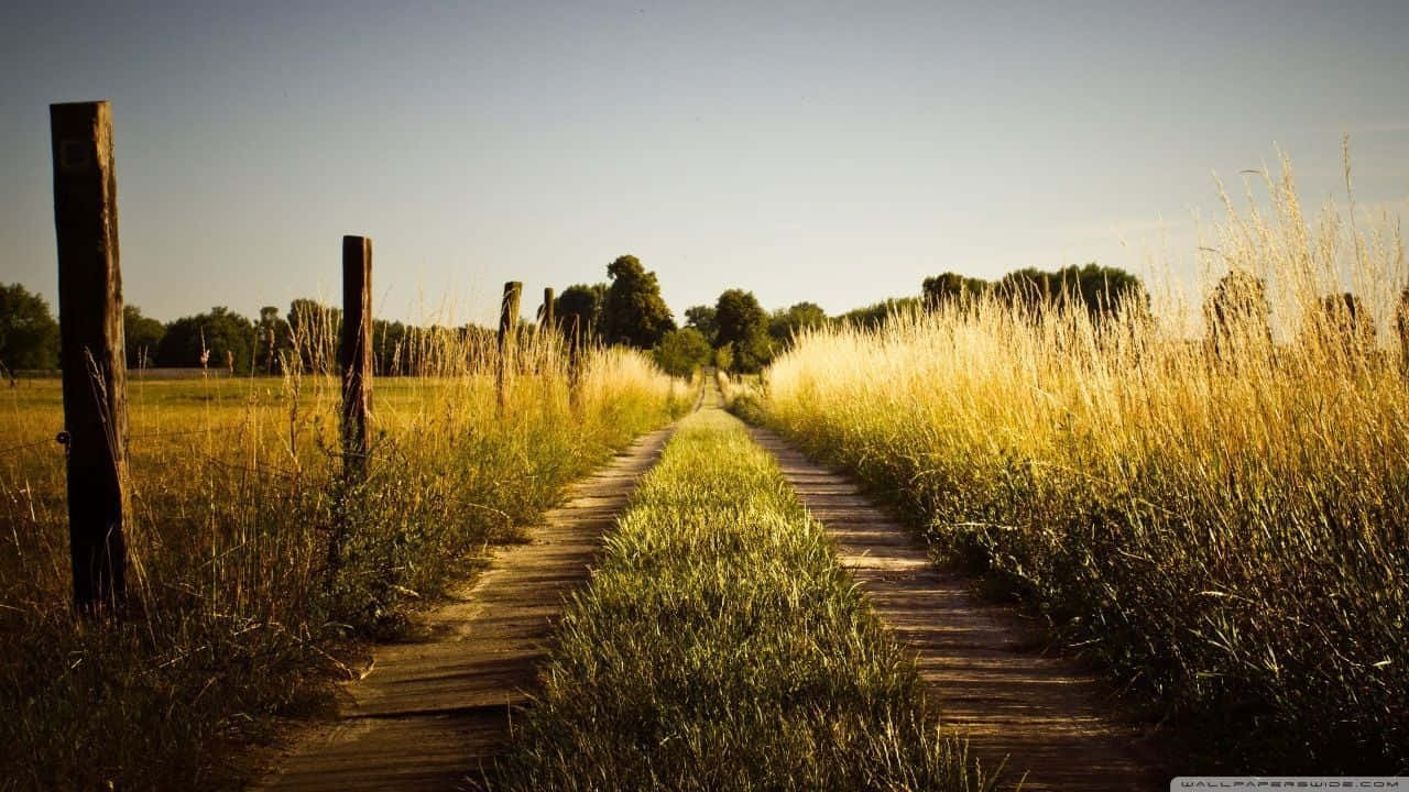 Take In The Natural Beauty Of The Open Countryside Wallpaper