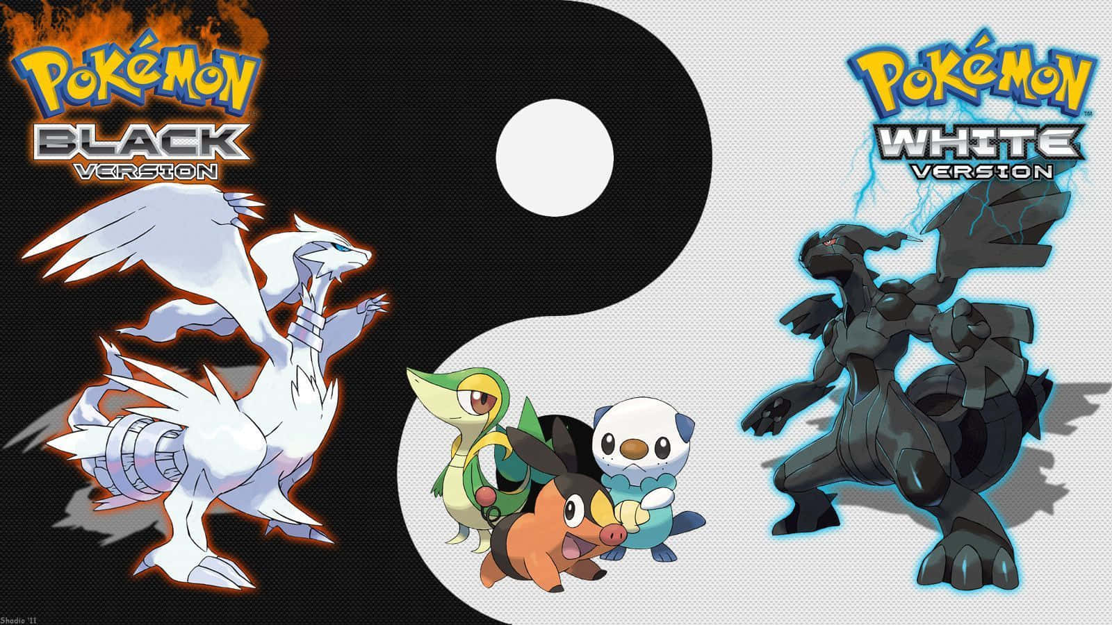 Taking On The Gym Challenge With Pokemon Black Wallpaper