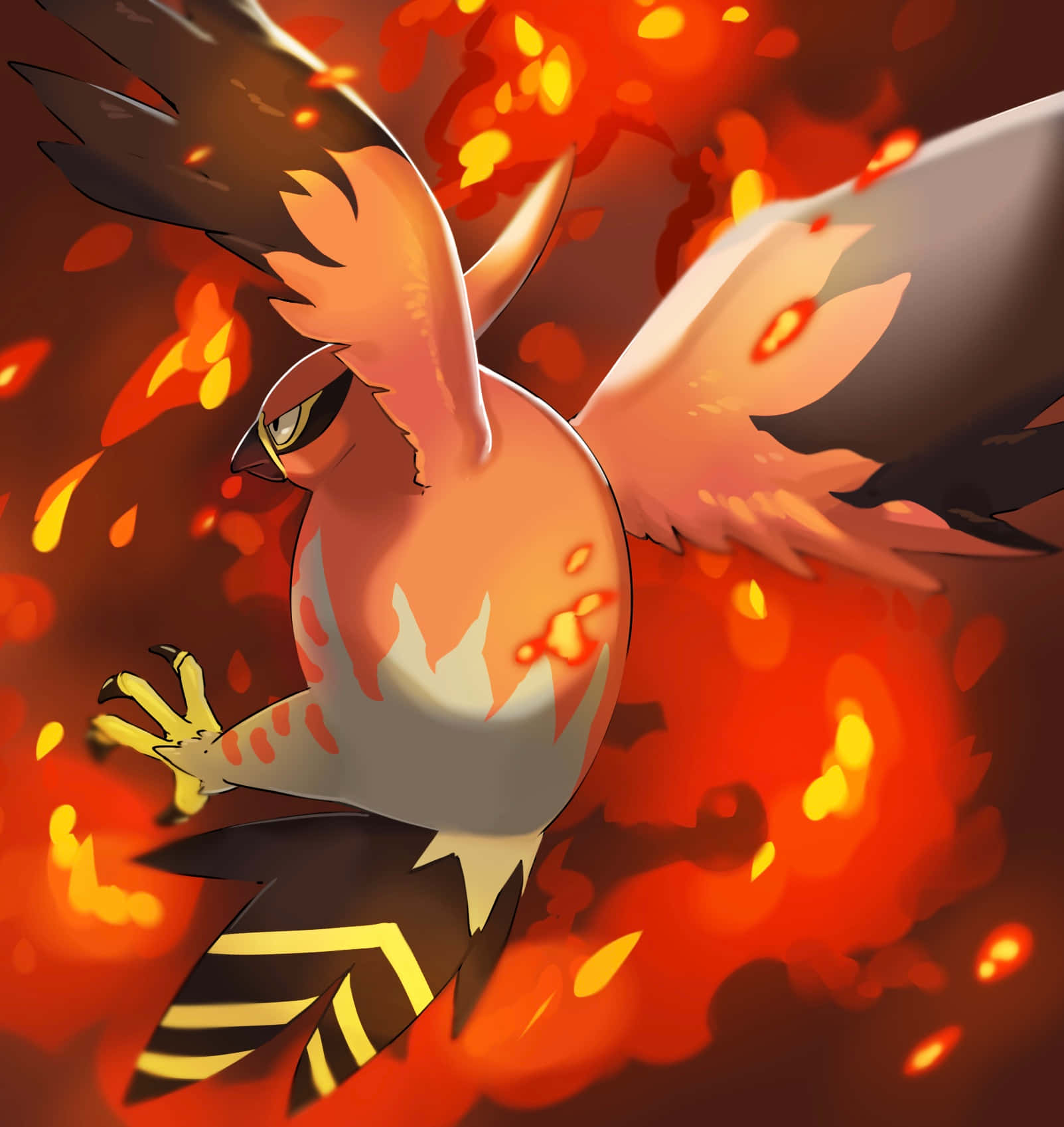 Talonflame Fire Flight Artwork Wallpaper