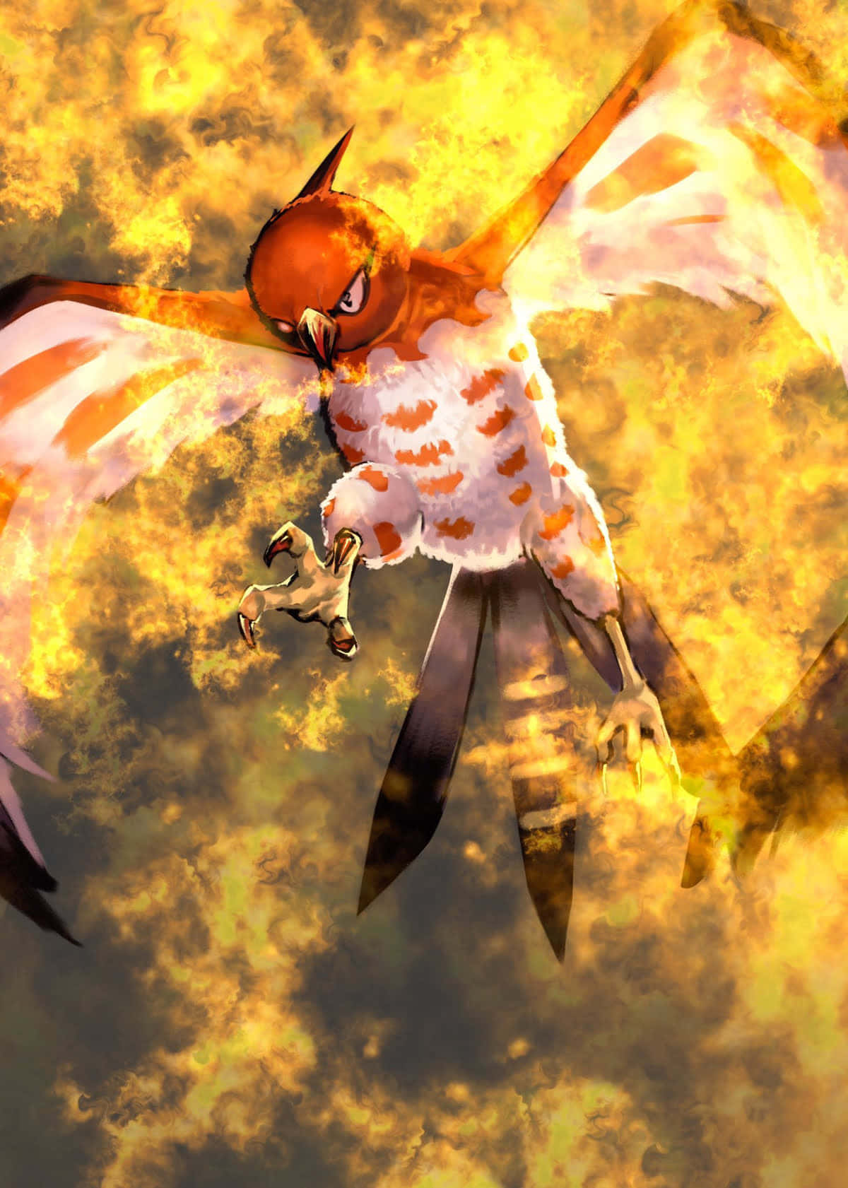 Talonflame Fire Sky Dive Wallpaper