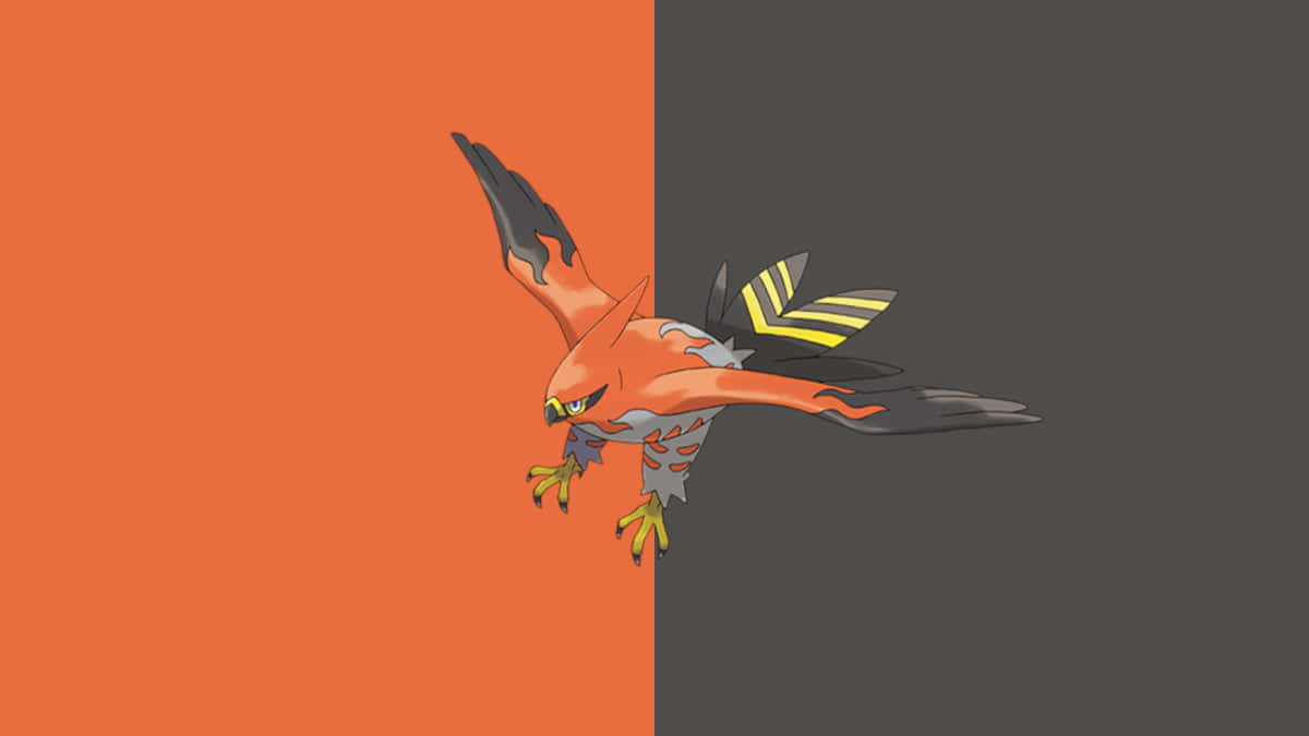 Talonflame Pokemon Artwork Wallpaper