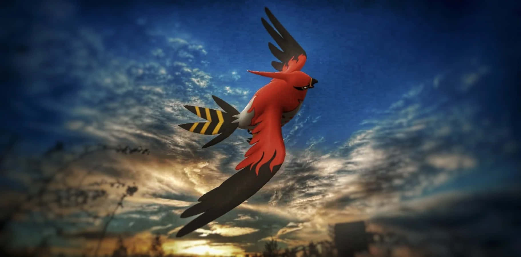 Talonflamein Evening Sky Wallpaper