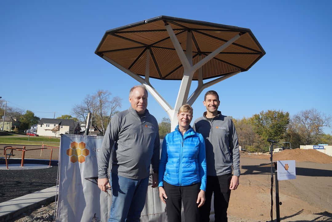 Tammy Baldwin Under Solar Tree Wallpaper