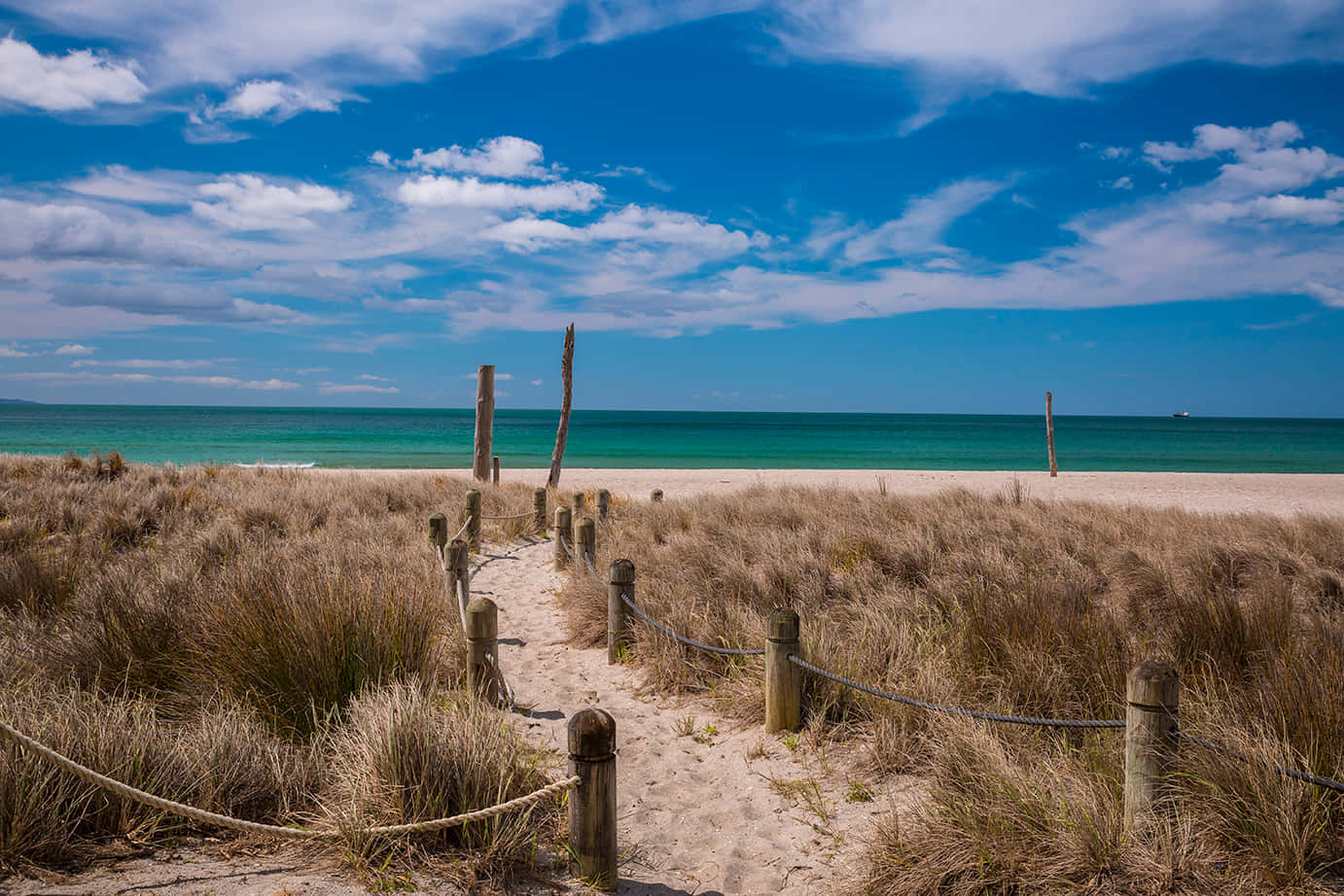 Tauranga Coastal Pathwayto Beach Wallpaper