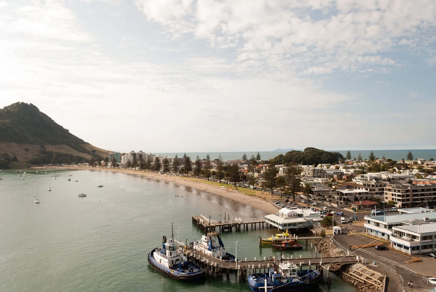 Tauranga Coastal View New Zealand Wallpaper