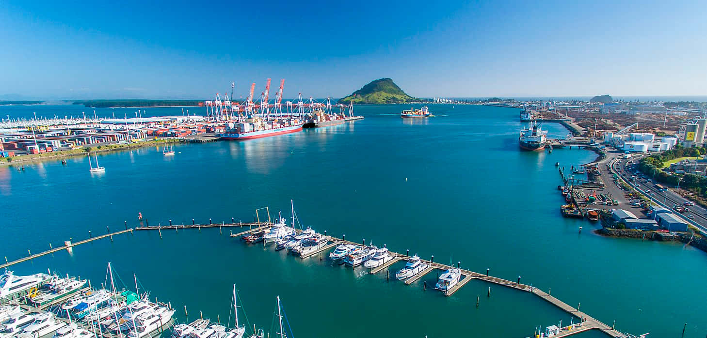 Tauranga Portand Marina Aerial View Wallpaper