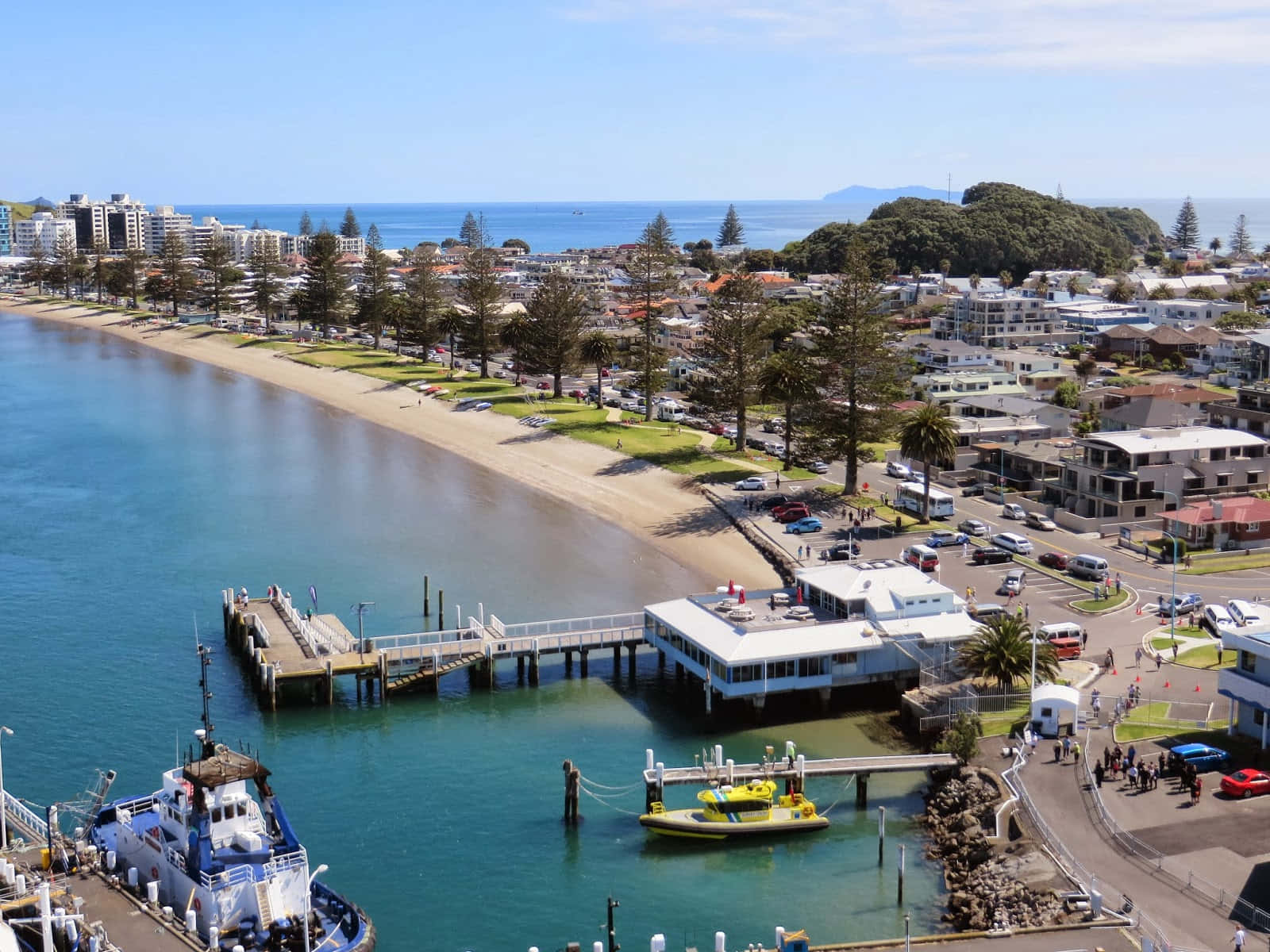 Tauranga Waterfrontand Cityscape New Zealand Wallpaper