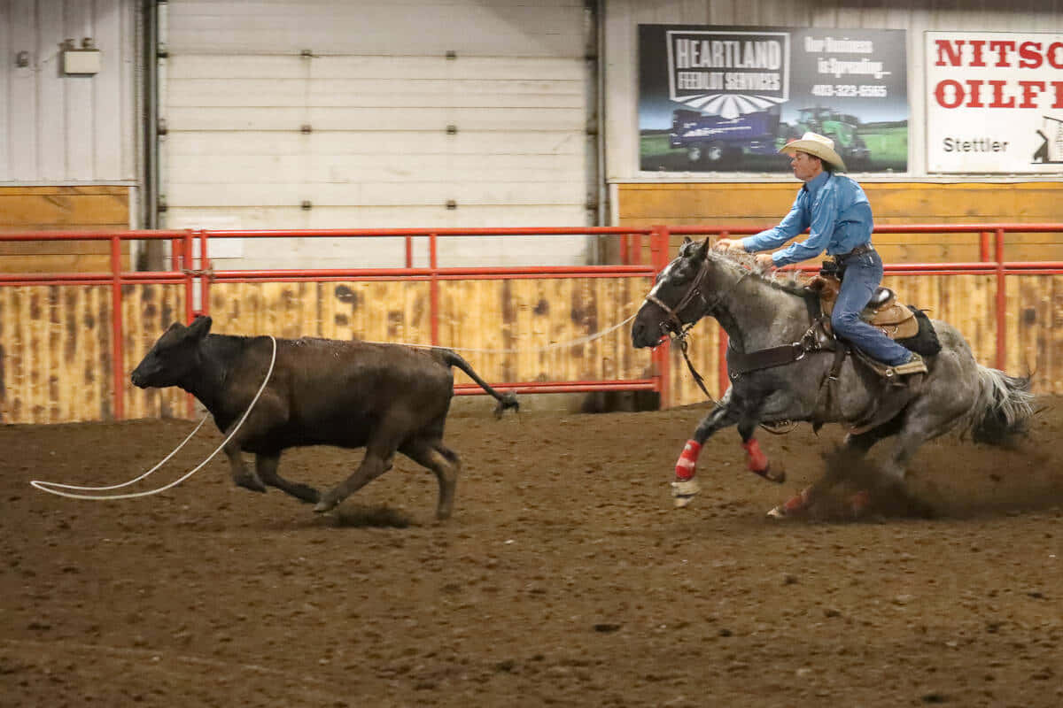 Team Roping Chasing Steer Wallpaper