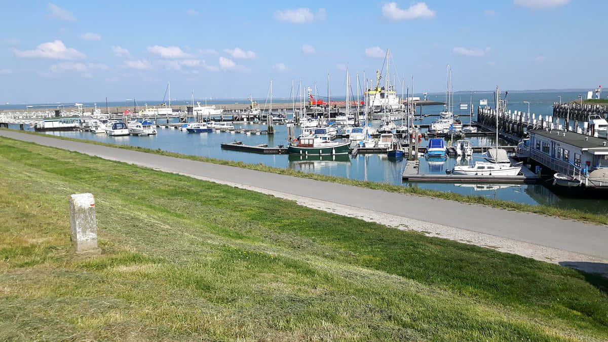 Terneuzen Marina Sunny Day Wallpaper