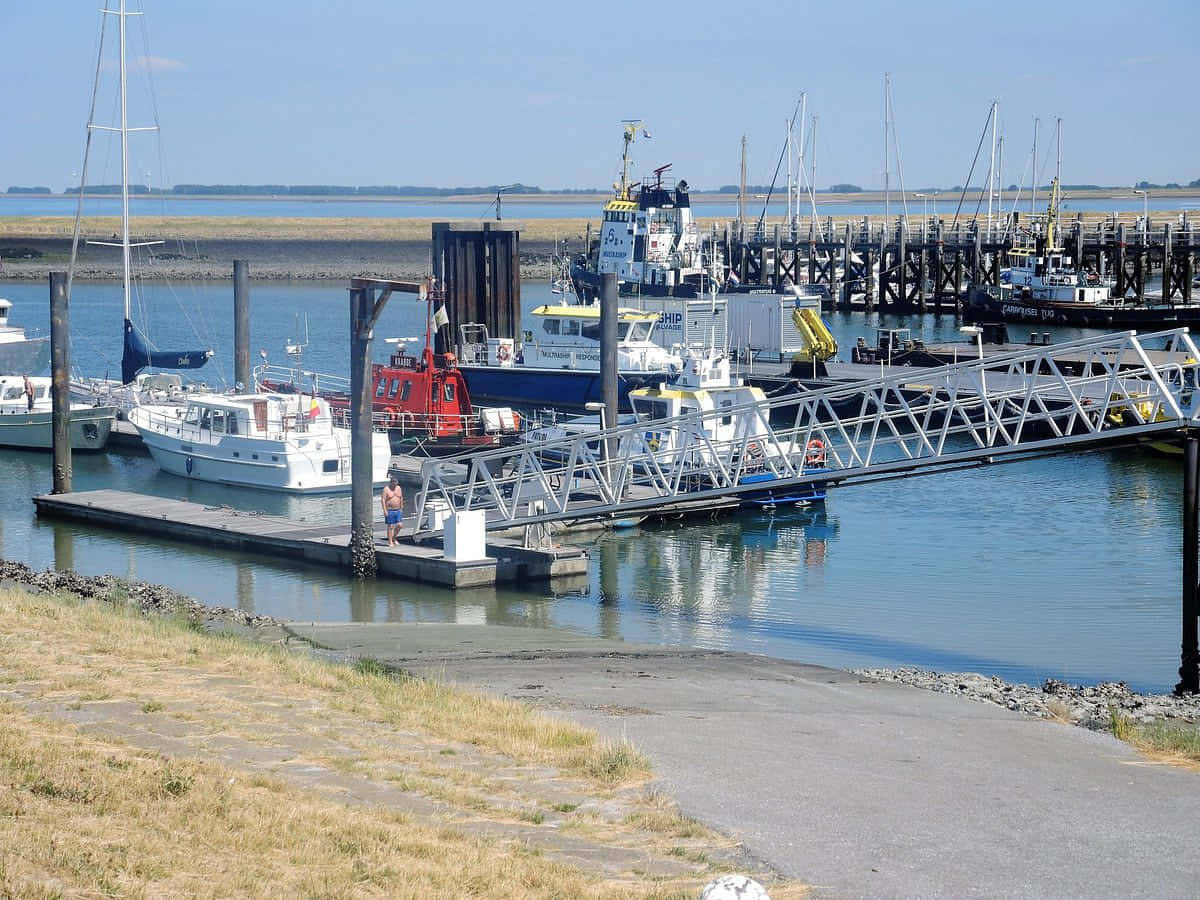 Terneuzen Marina Sunny Day Wallpaper