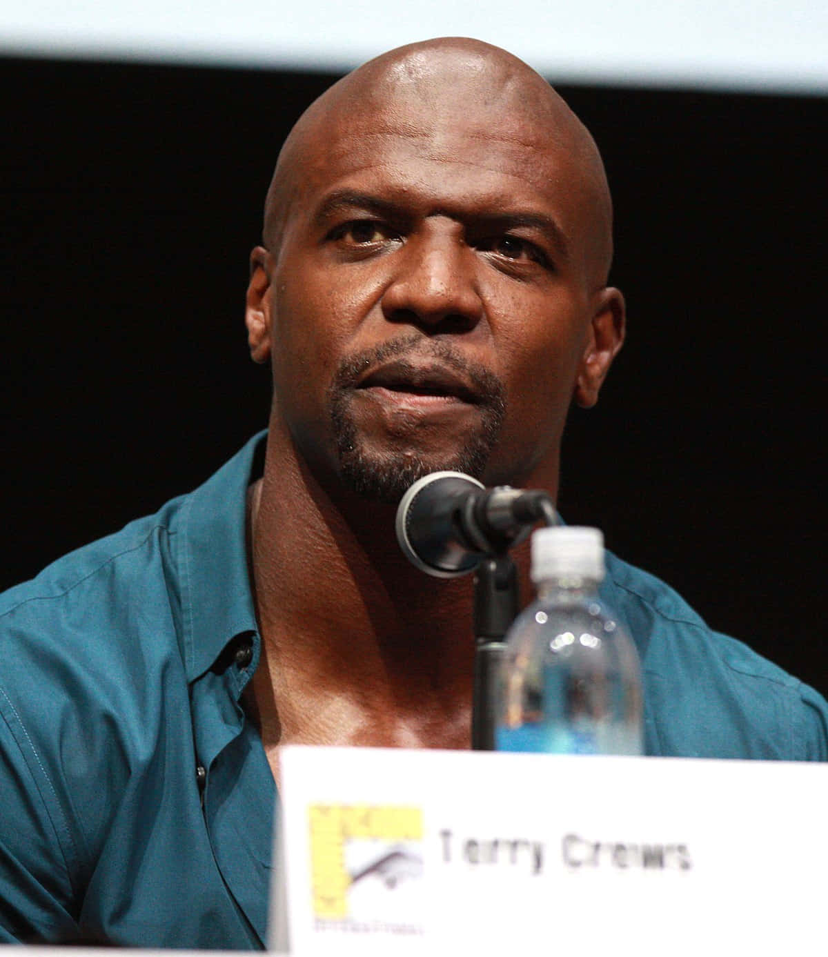 Terry Crews - Actor And Former Nfl Player Wallpaper