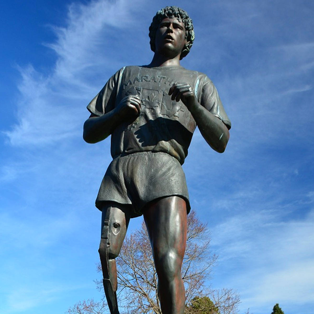 Terry Fox Statue Wallpaper