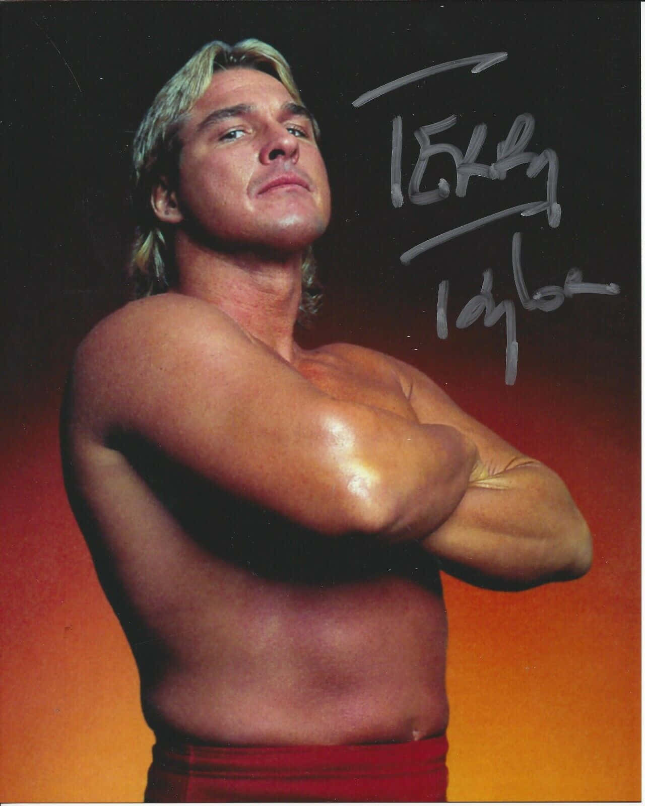 Terry Taylor Autographed Portrait Wallpaper