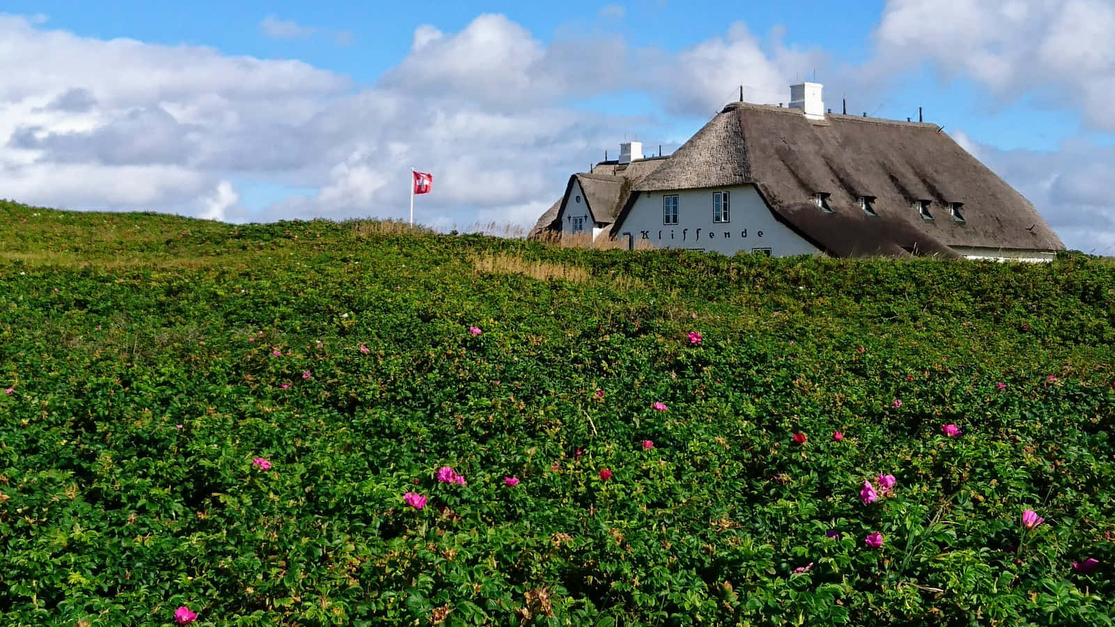 Thatched Roof House Behind Greenery Kampen Wallpaper