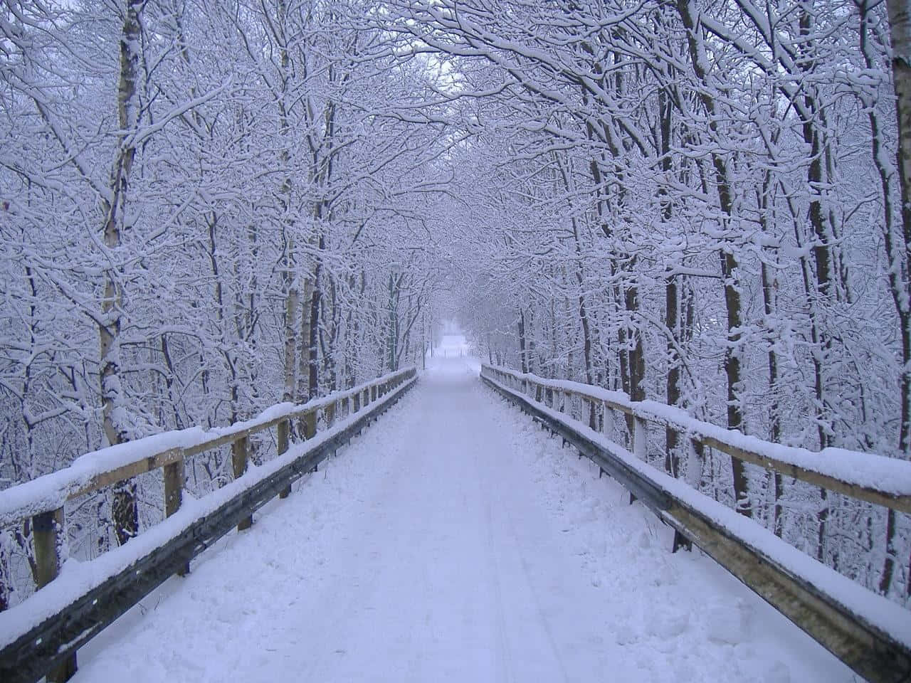 The Age-old Beauty Of Winter Wallpaper