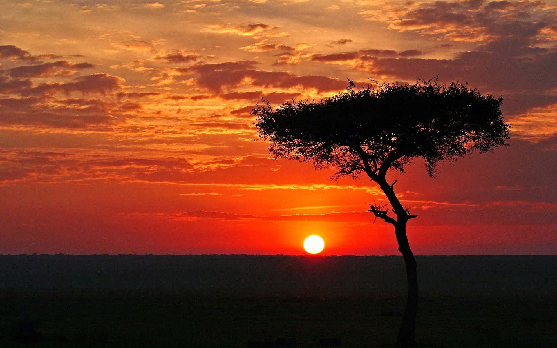 The Beautiful African Landscapes Of Namibia Wallpaper