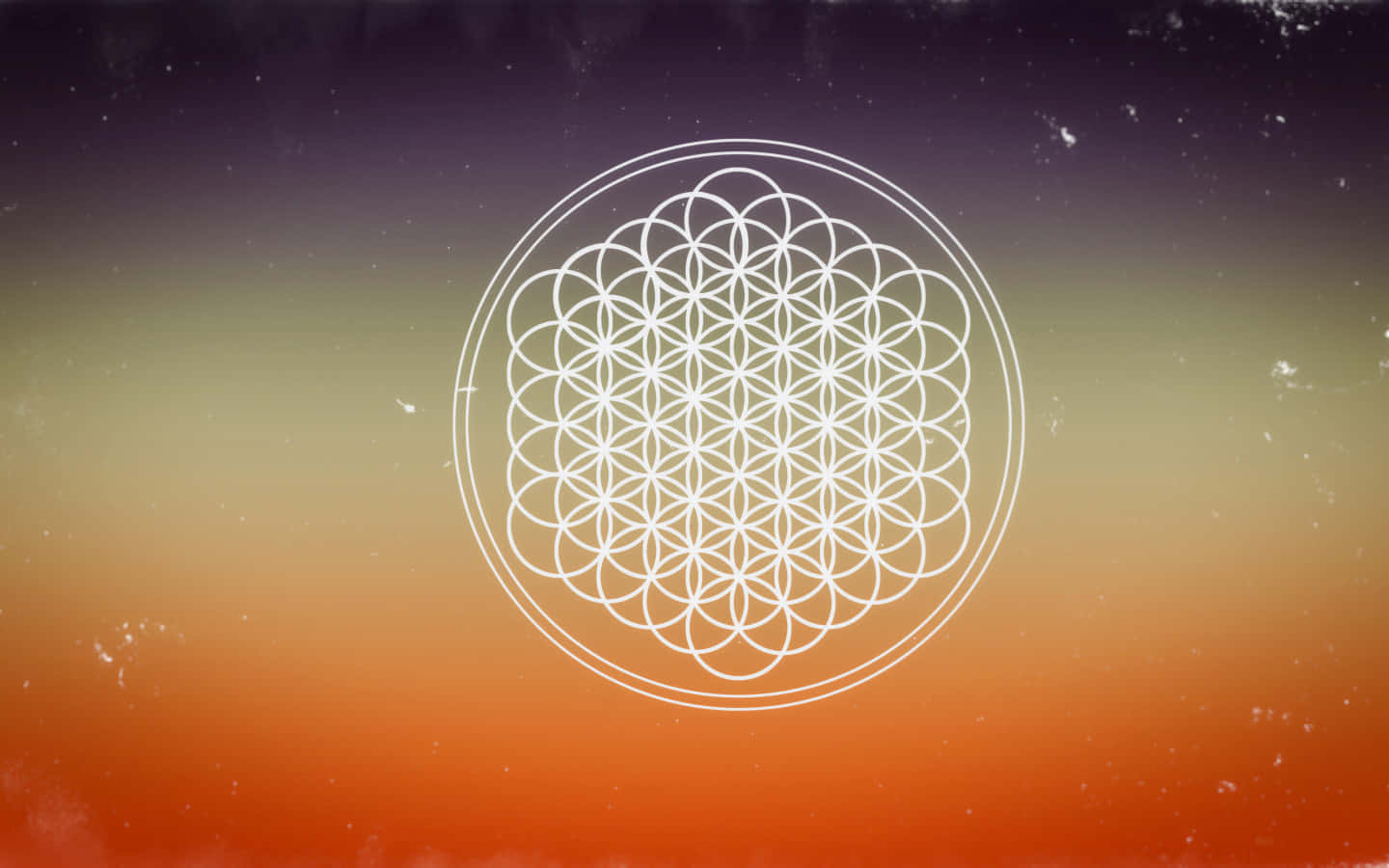 “the Beautiful Flower Of Life Symbolizing Harmony And Balance” Wallpaper