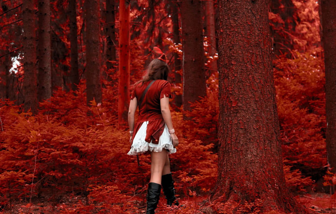 The Beautiful Red Forest Wallpaper