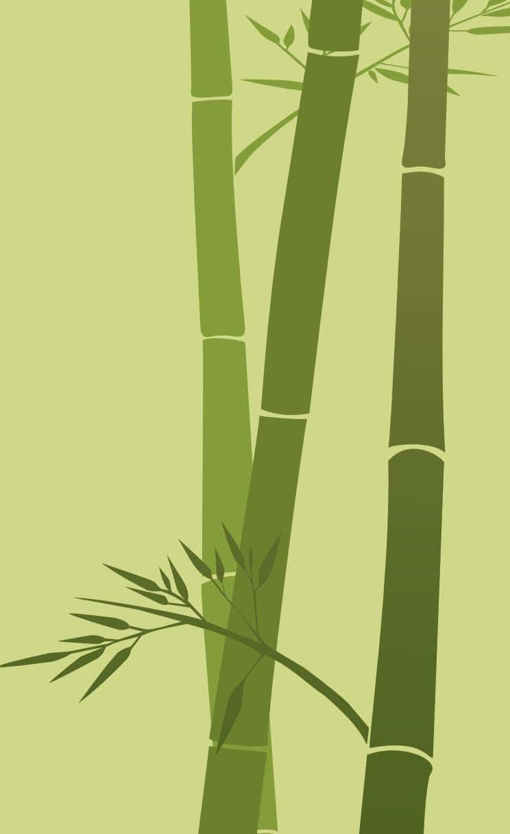 The Beauty Of Chinese Bamboo Wallpaper