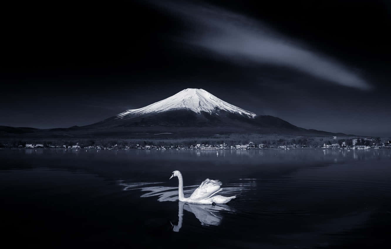 The Beauty Of Dark Japan Wallpaper