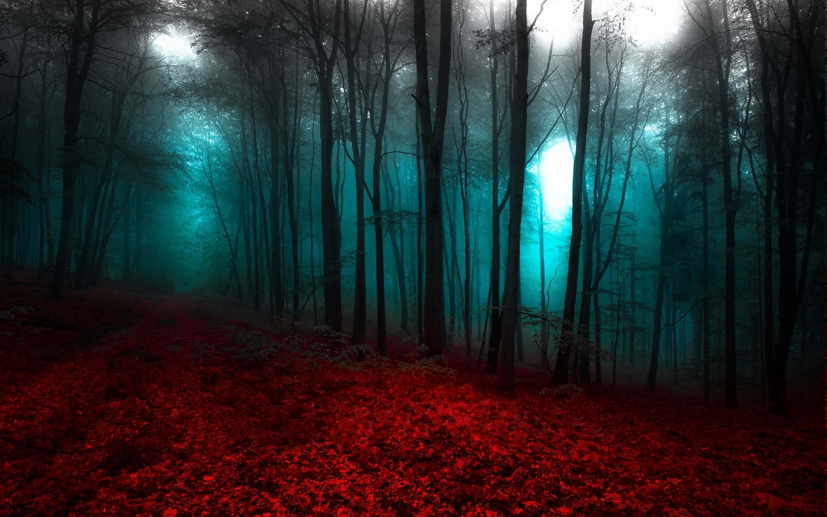 The Beauty Of Red Forest Wallpaper