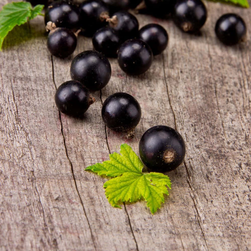 The Bright Taste Of Black Currants Wallpaper