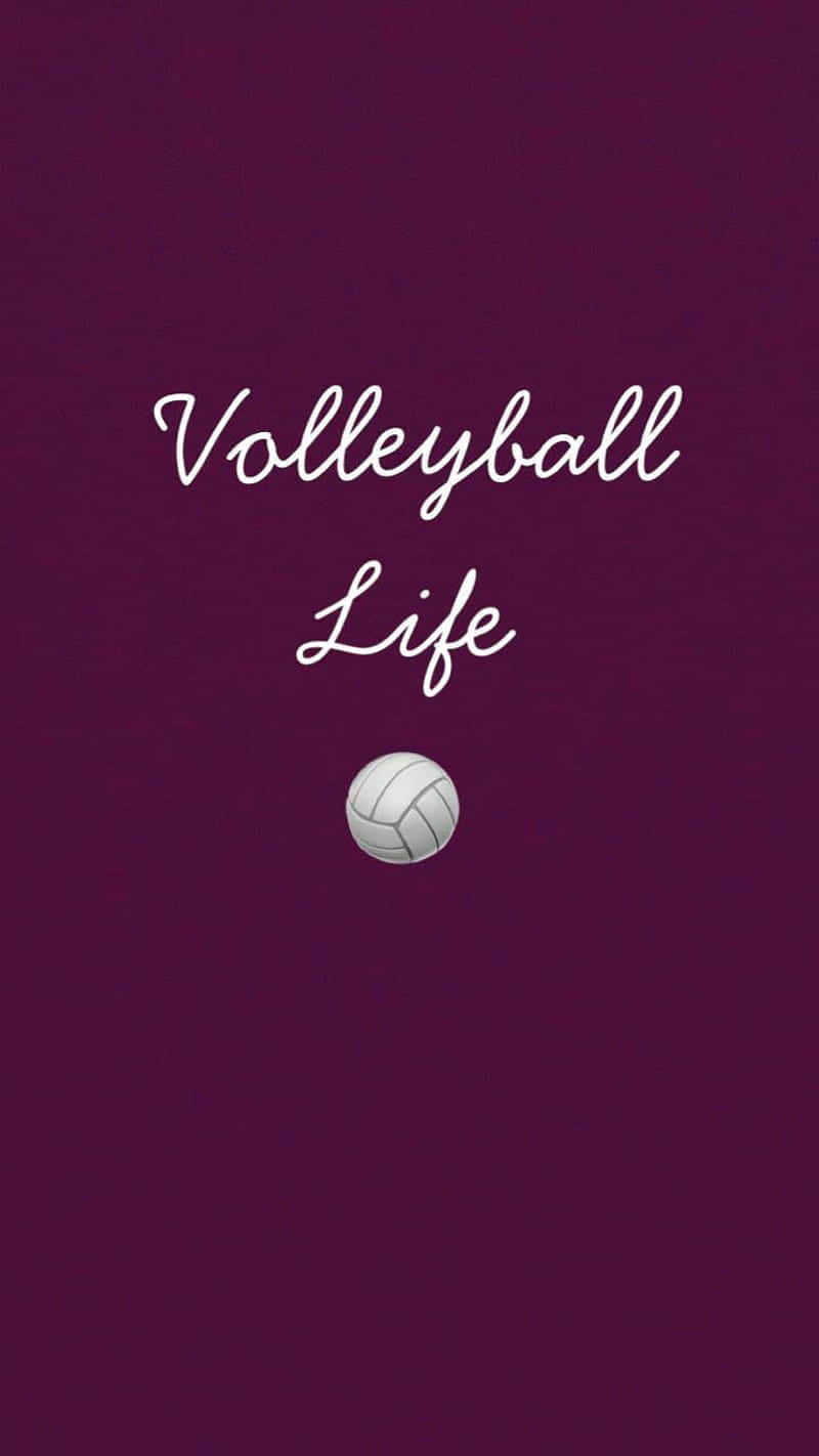 The Essential Tool For Any Serious Volleyball Game Wallpaper