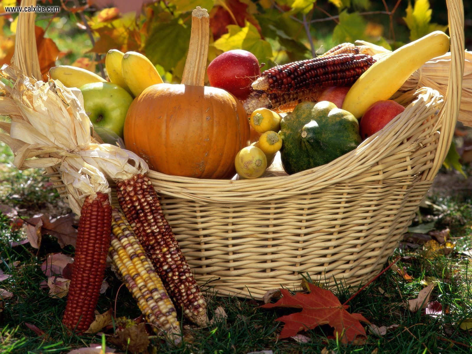 The Golden Hour Of Harvest Time Wallpaper