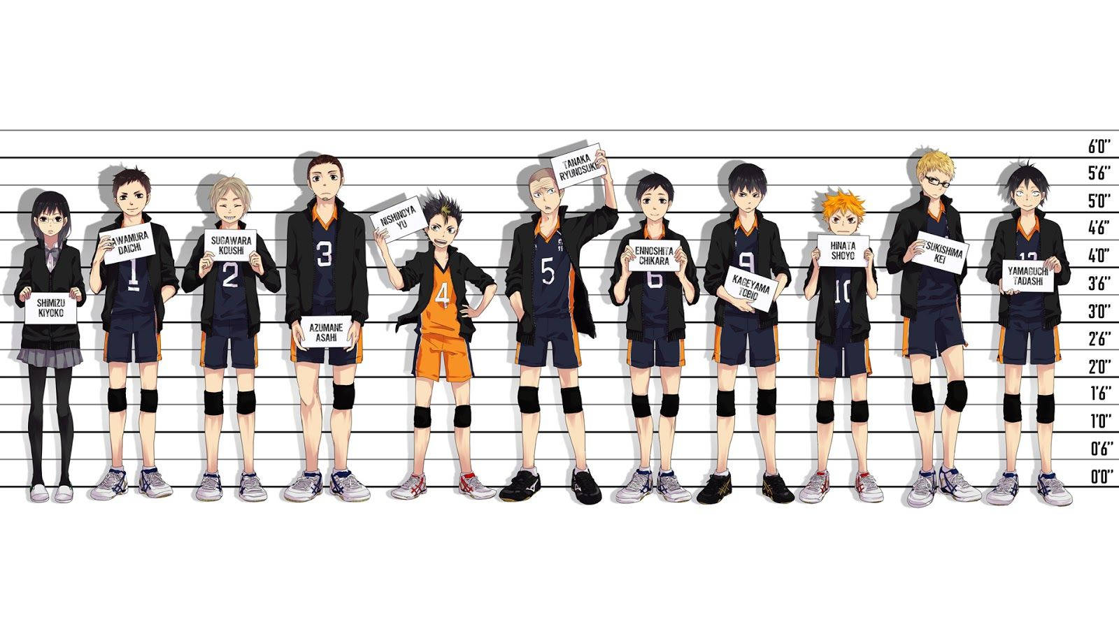 “the Heights Of Karasuno High - Haikyuu” Wallpaper