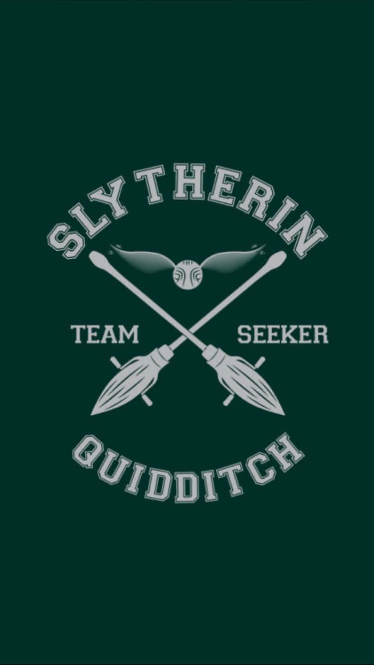 The Hogwarts Quidditch Team Dominated In Their First Match. Wallpaper