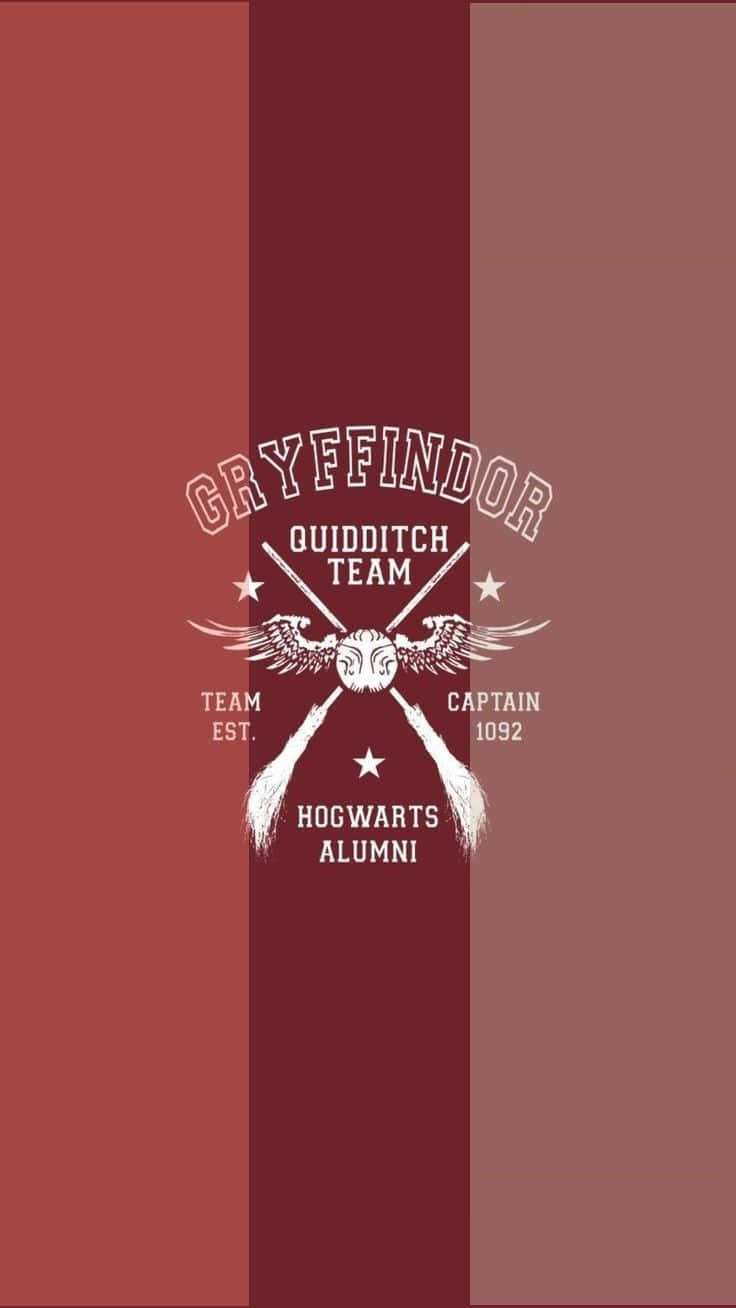 The Hogwarts Quidditch Team Honors Its 10th Championship Victory Wallpaper