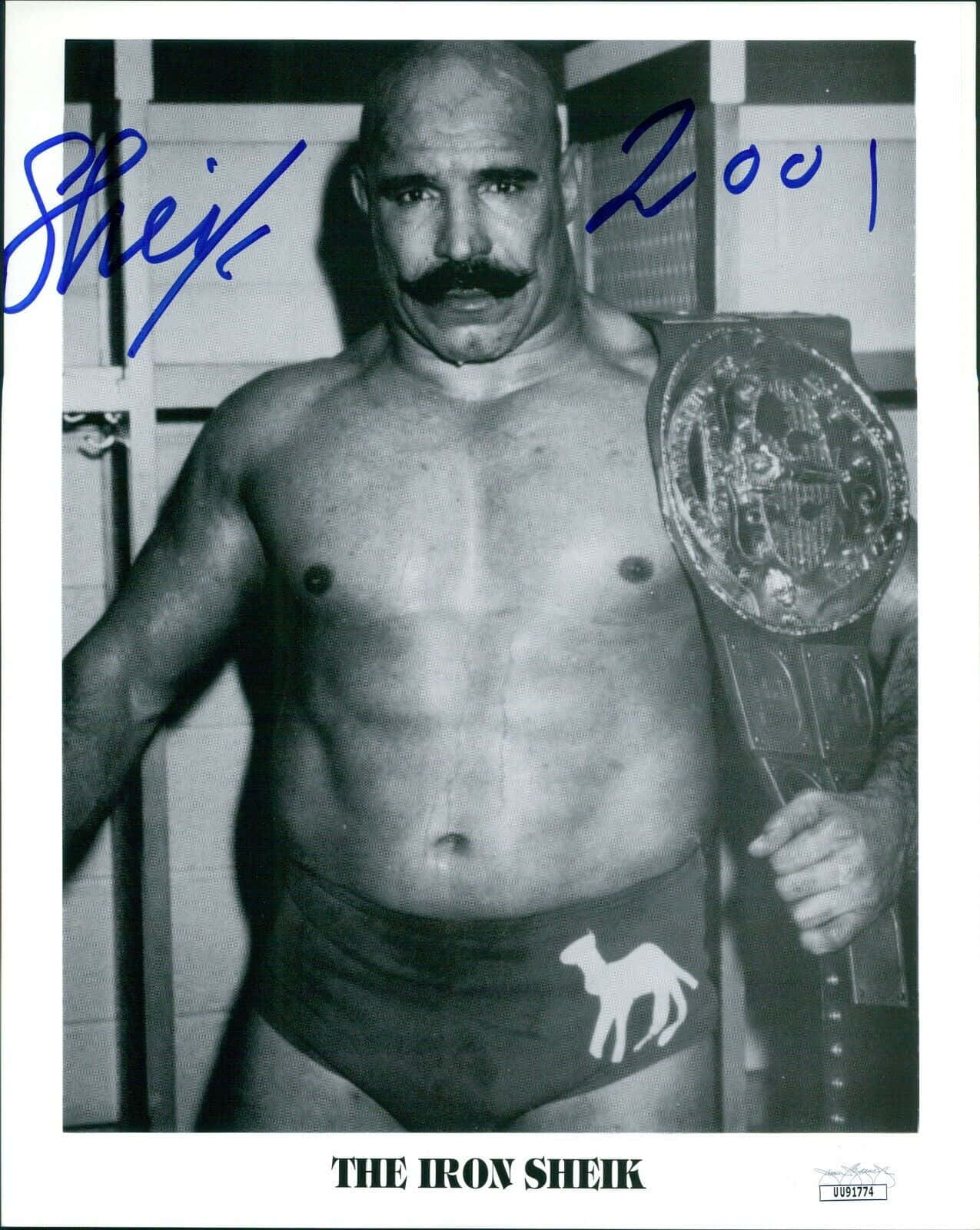 The Iron Sheik Blue Ink Signature Wallpaper