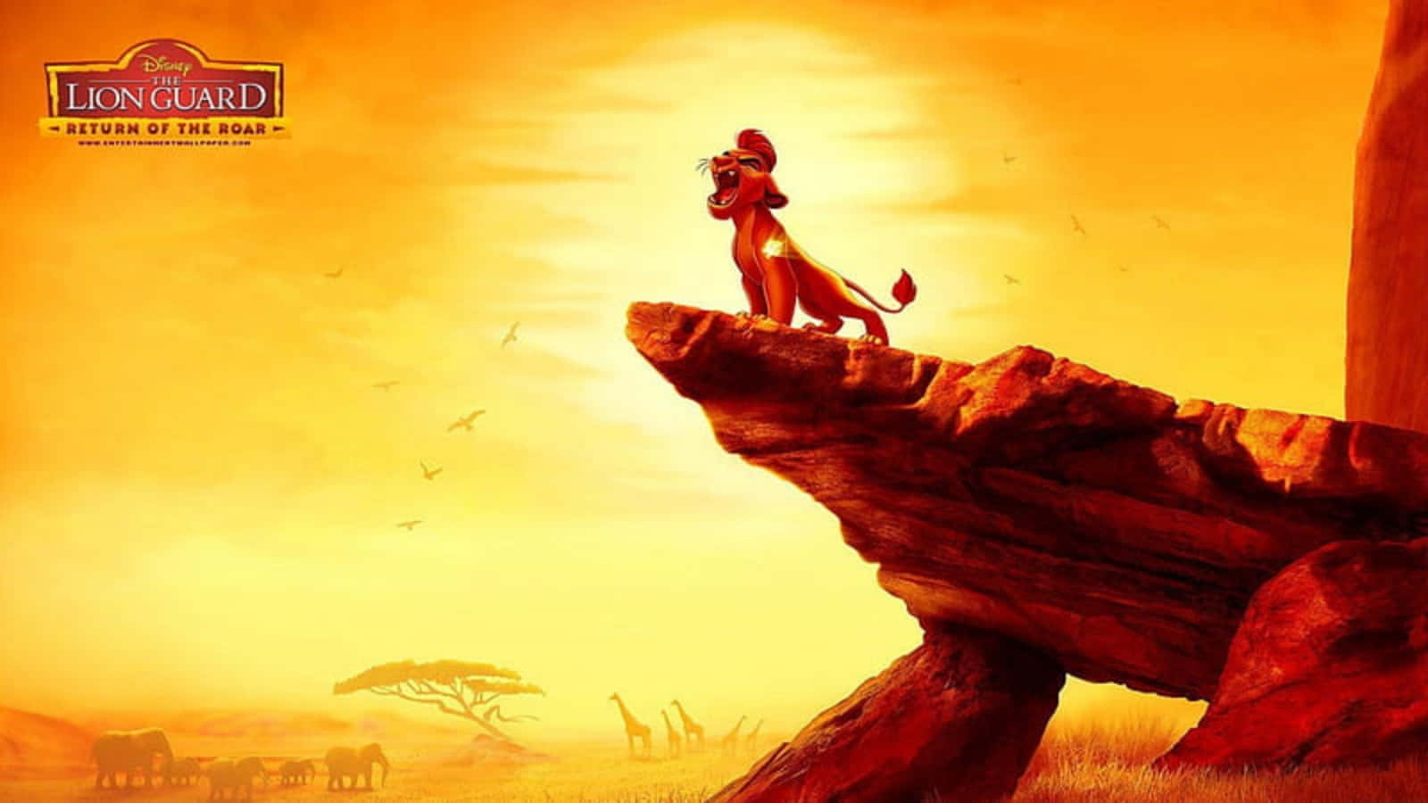 The Lion King Wallpaper Wallpaper