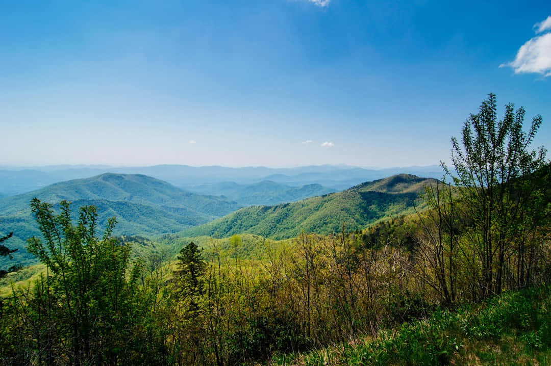 The Majestic Beauty Of The Blue Ridge Mountains Wallpaper