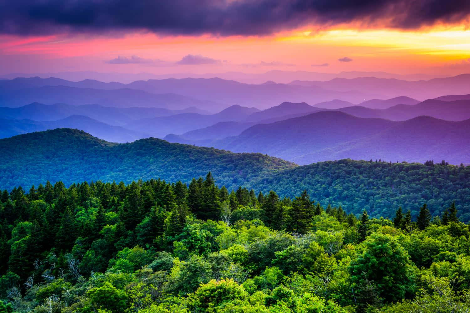 The Majestic Blue Ridge Mountains Wallpaper