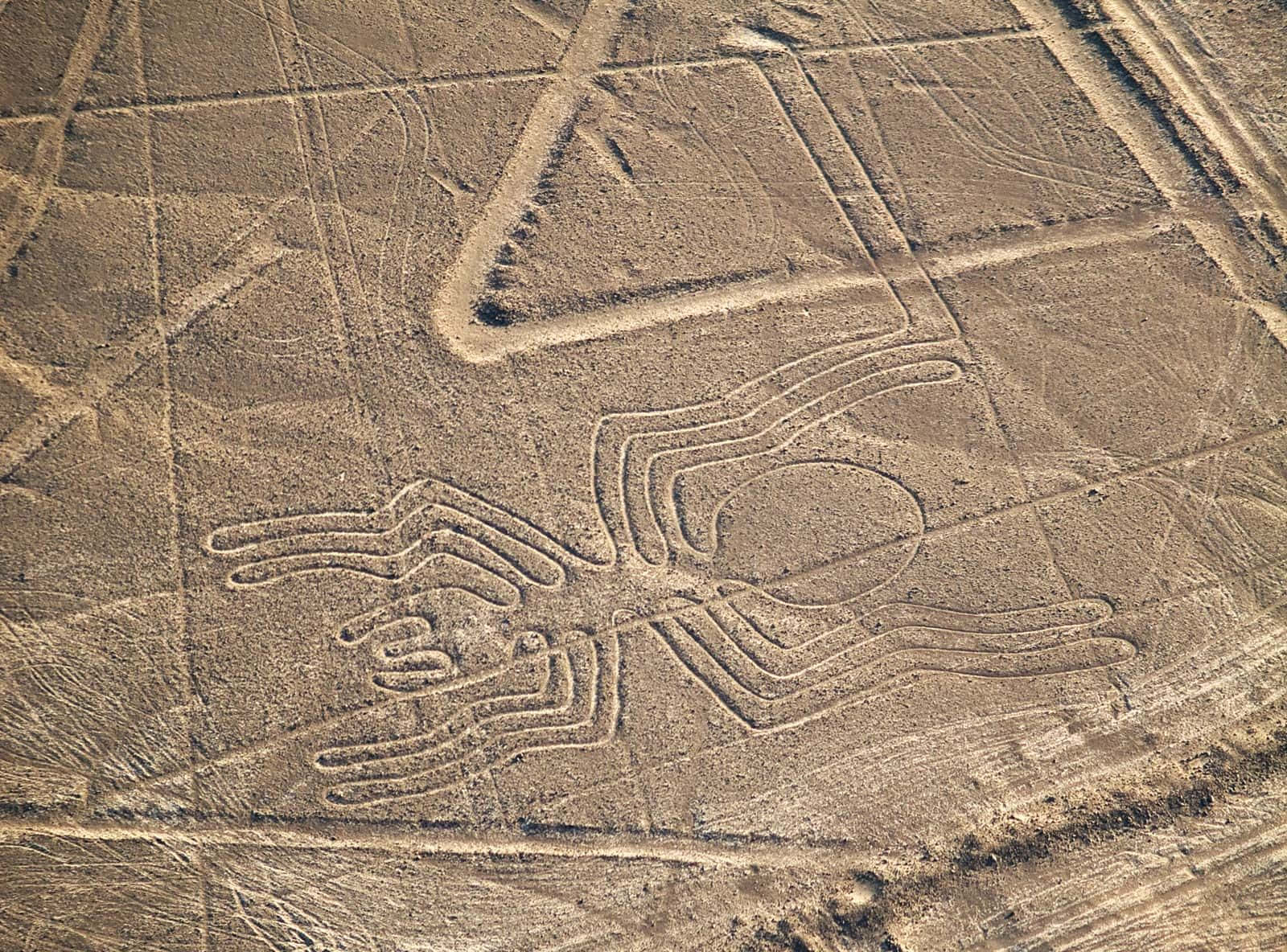 The Nazca Lines Wallpaper