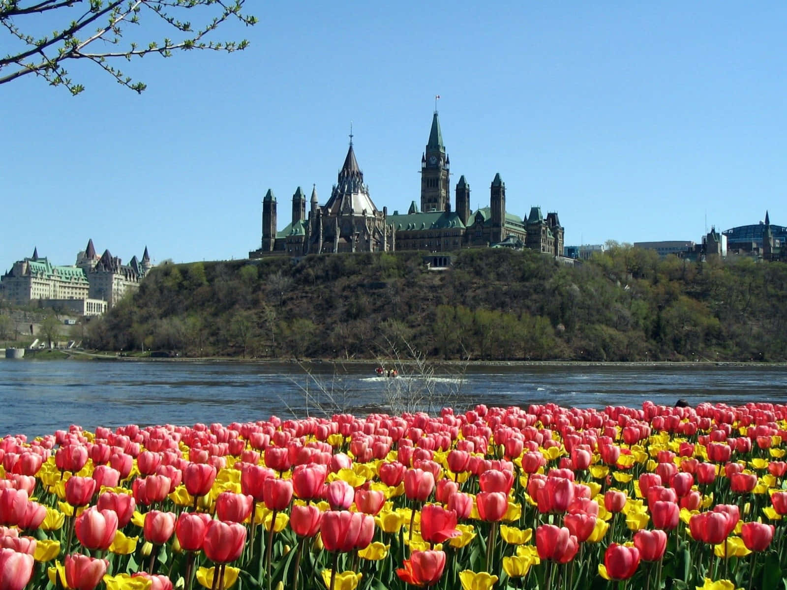 The Parliament Buildings Of Canada With The Tulip Garden In View Wallpaper