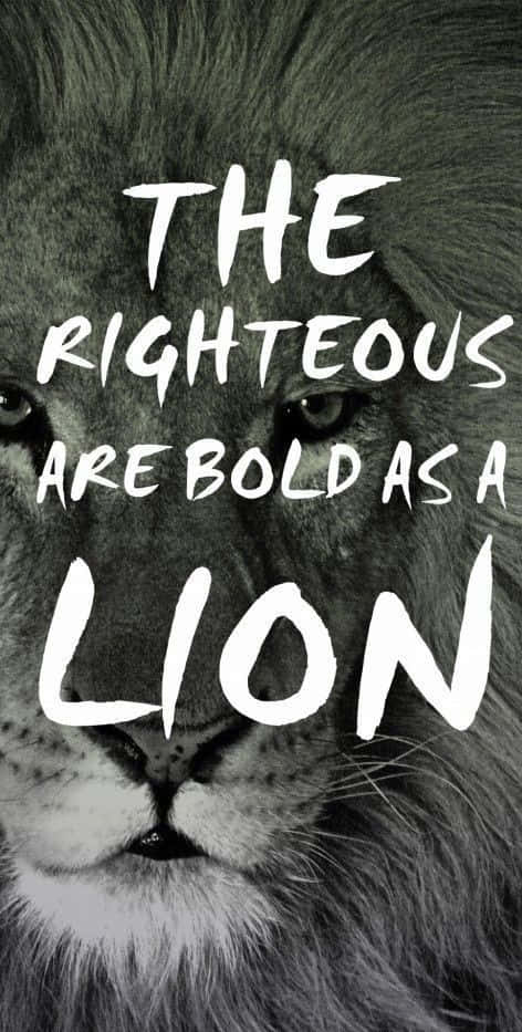 The Righteous Are Bold As A Lion Wallpaper