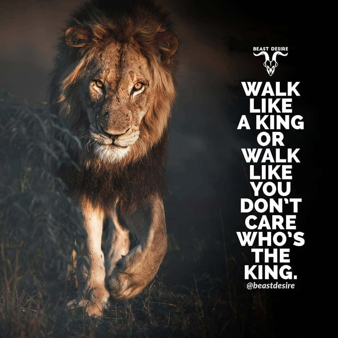 “the Roar Of A Lion Is The Most Powerful Sound In The Animal Kingdom.” Wallpaper