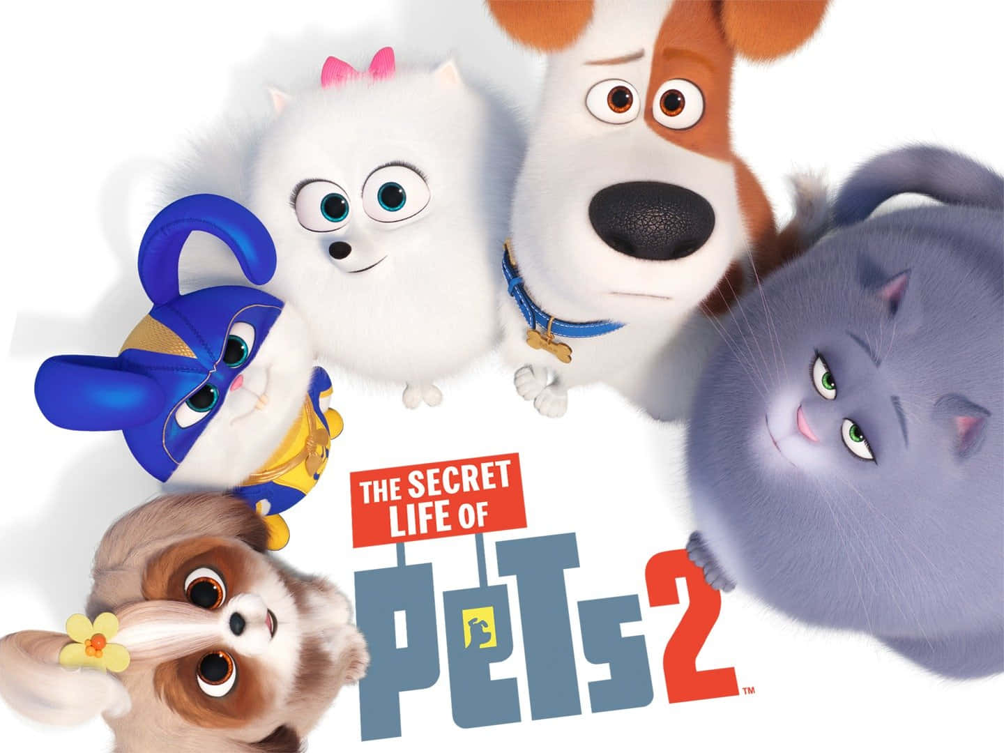 The Secret Life Of Pets 2 Look Up Wallpaper