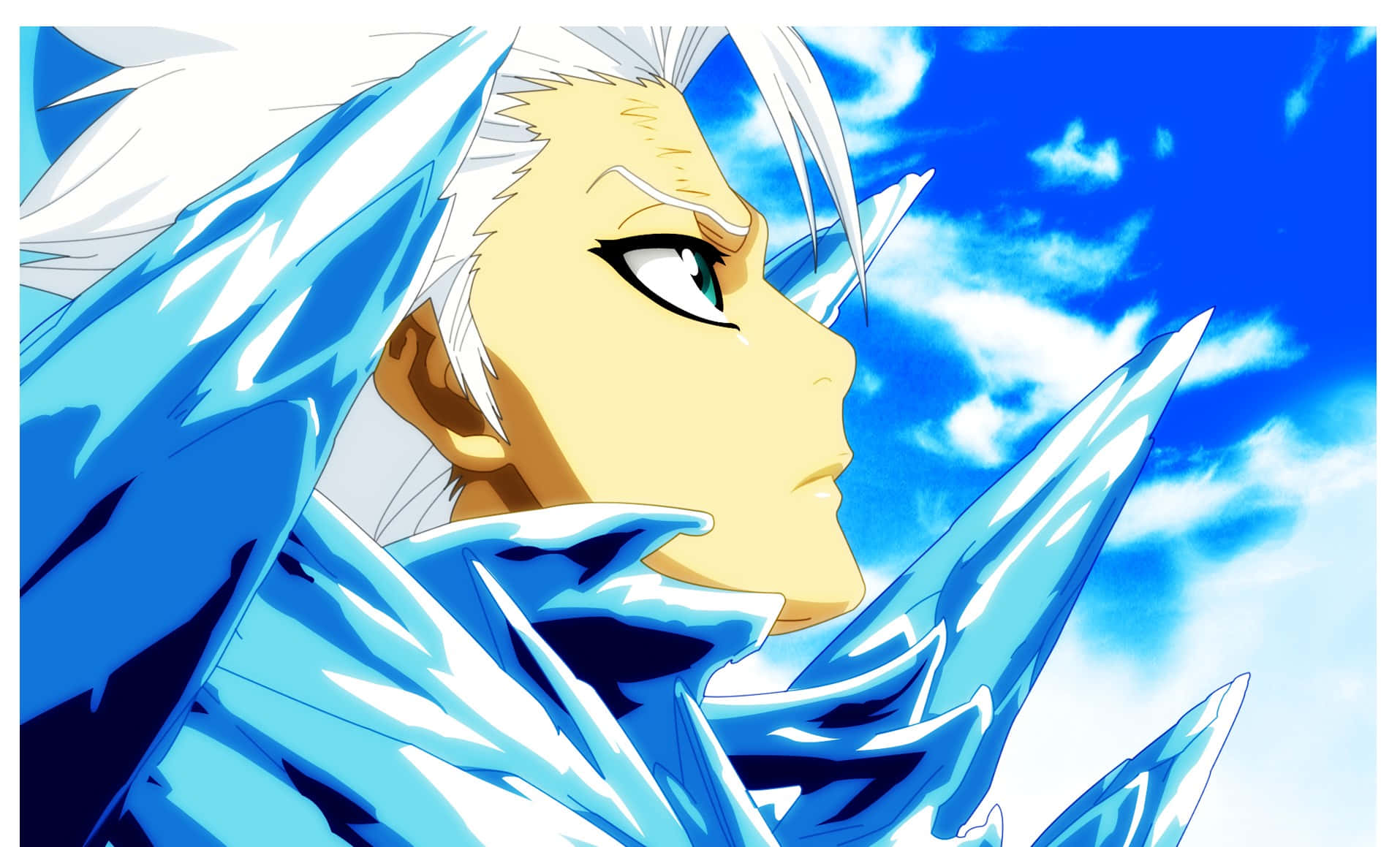 The Soul Reaper Toshiro Hitsugaya Wallpaper