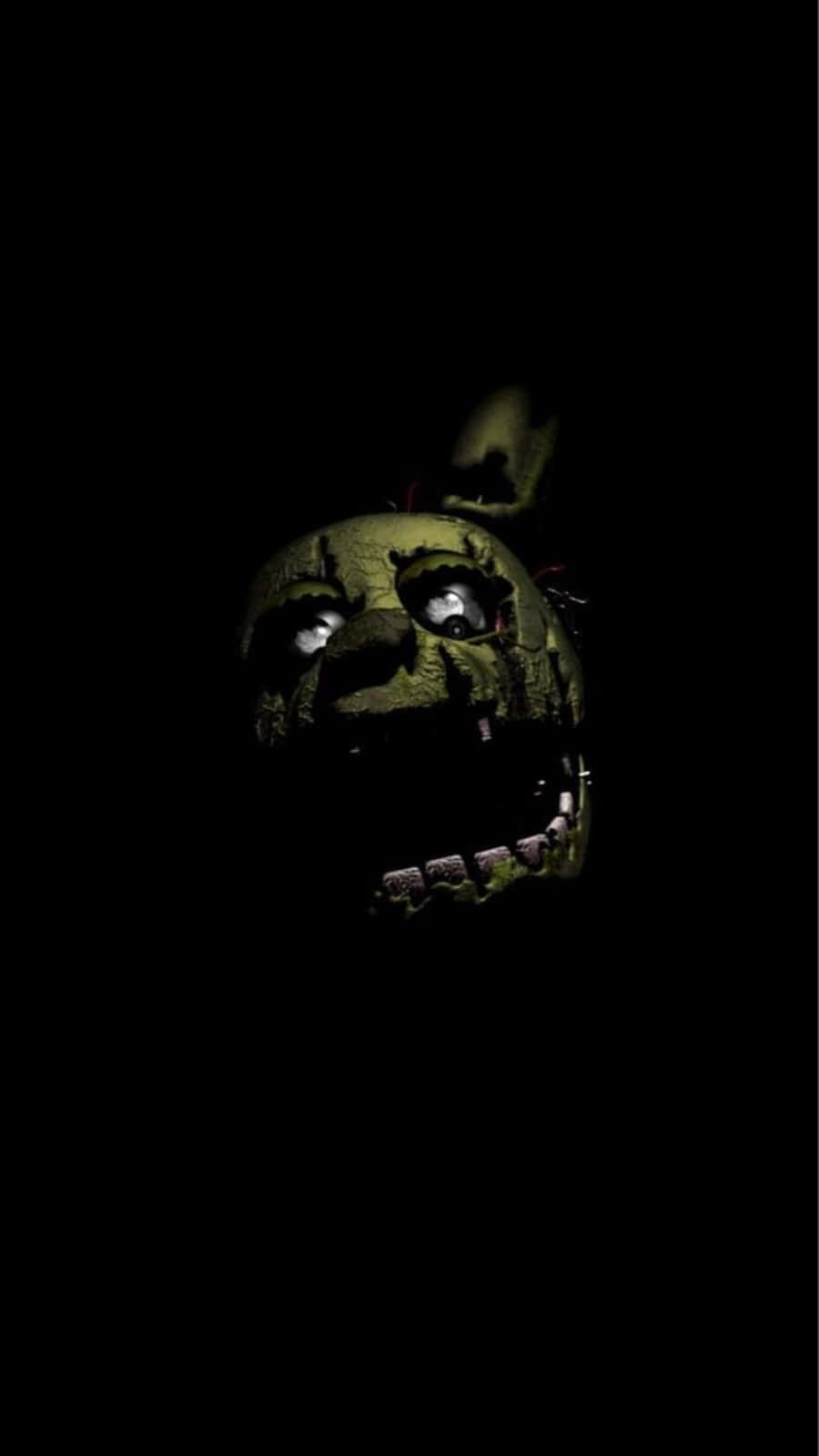 The Terrifying Dreadbear Lurking In The Shadows Wallpaper