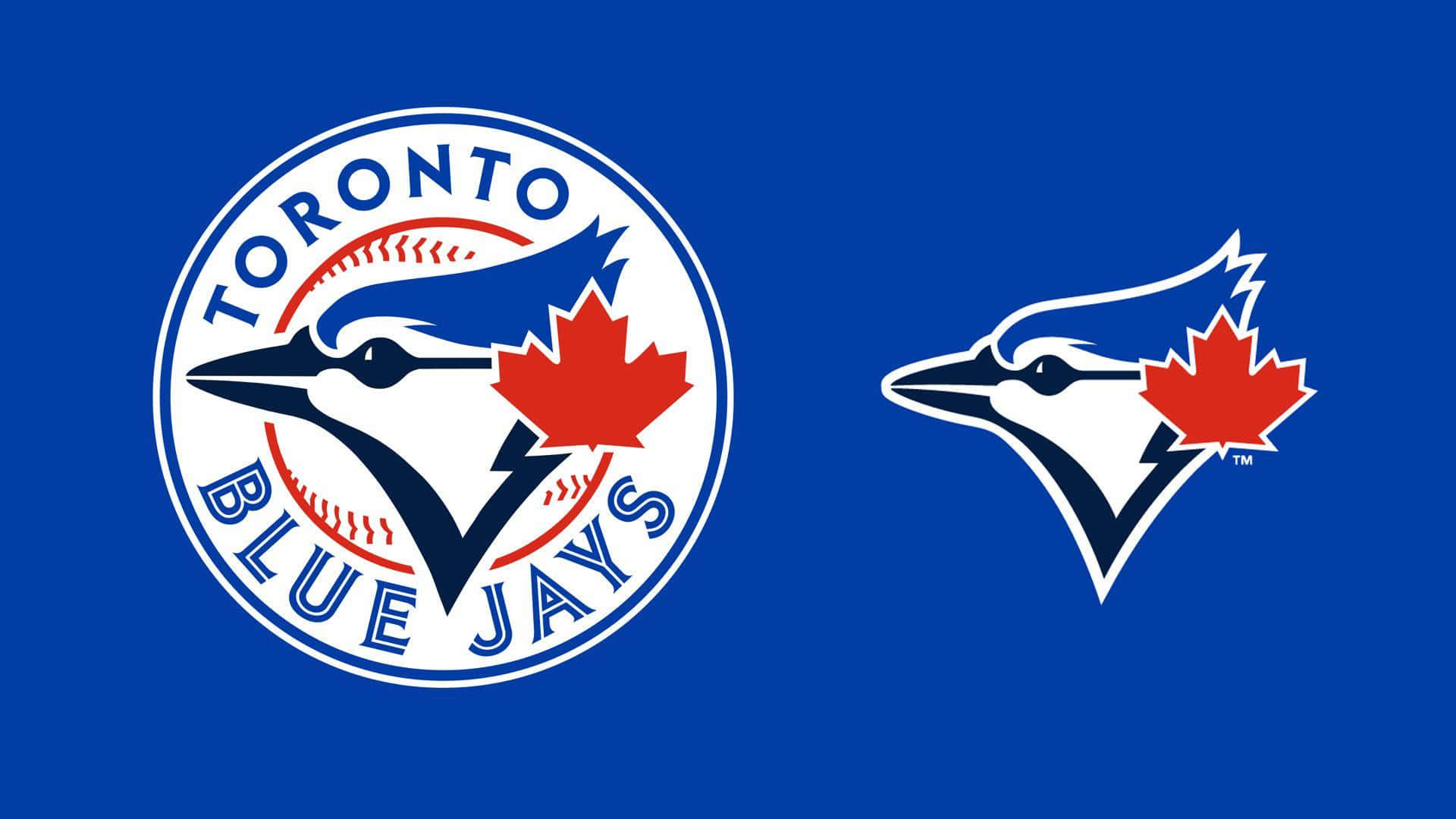 The Toronto Blue Jays In Action Wallpaper