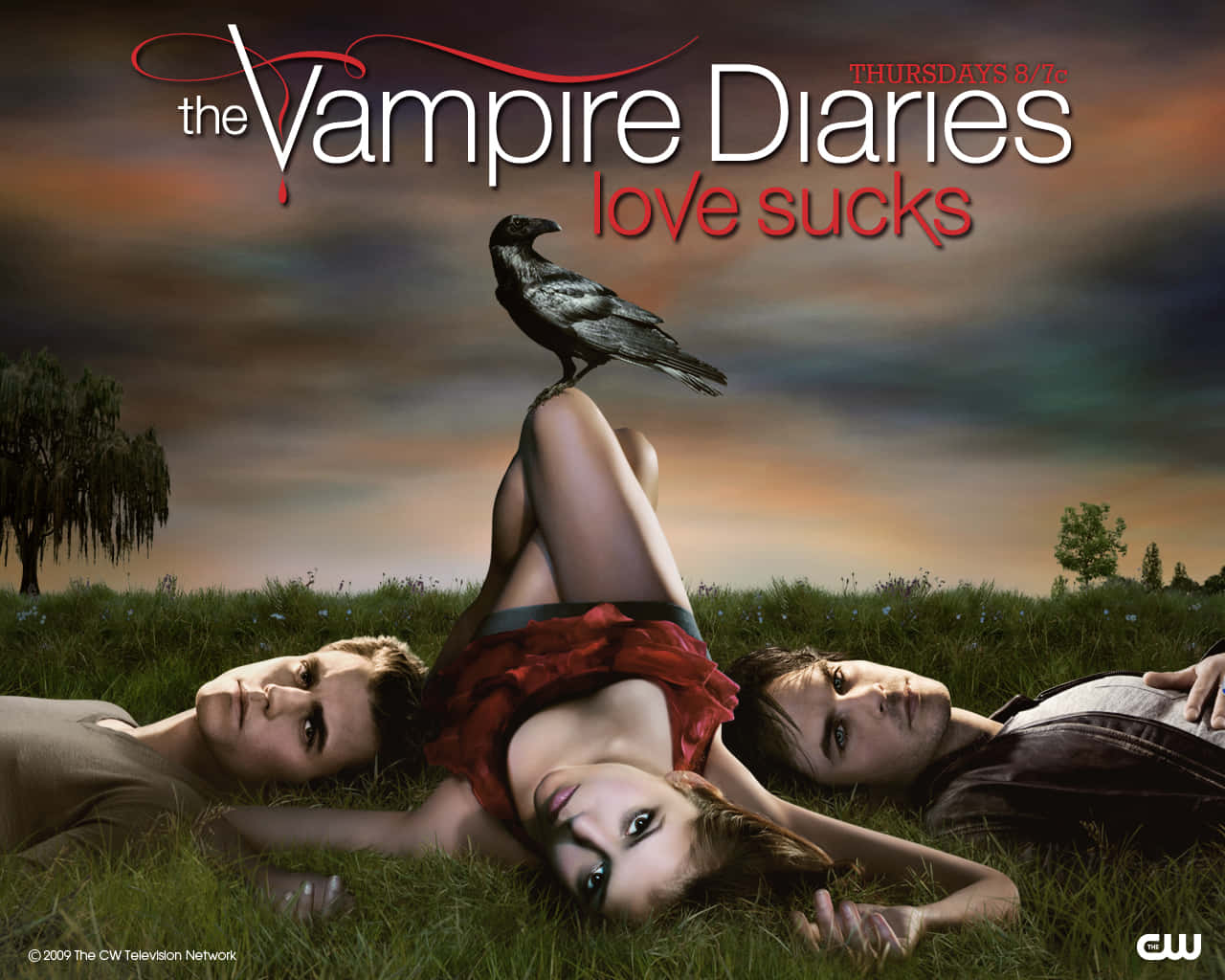 The Vampire Diaries Love Sucks Poster Wallpaper