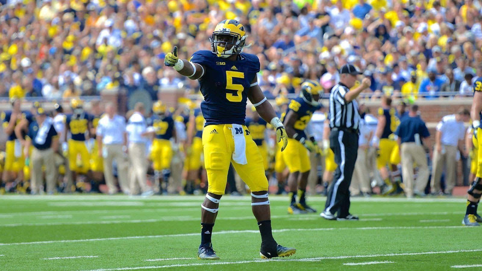 The Wolverines Ready To Take The Field Wallpaper